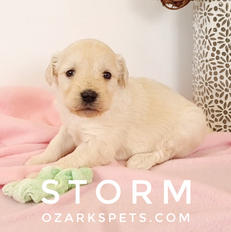 storm (3).jpeg