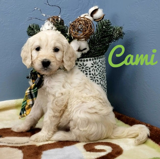 Cami (2).jpeg