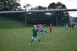DSC_0632 (800x530)