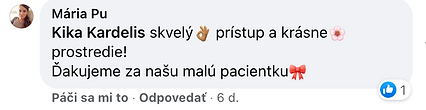 Snímka obrazovky 2021-11-22 o 18.39.33.png