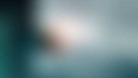 CRITICAL ANALYSIS OF THE NEW OVERSEAS DIRECT INVESTMENT REGIME