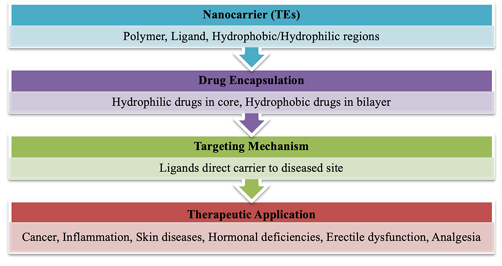 Figure 4: Schematic illustration showing various applications of surface-functionalized transethosomes
