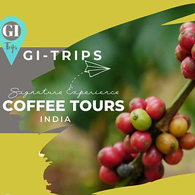 Coffee Tour of India