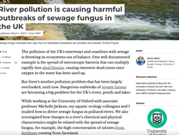 The Conversation article: River pollution is causing harmful outbreaks of sewage fungus in the UK