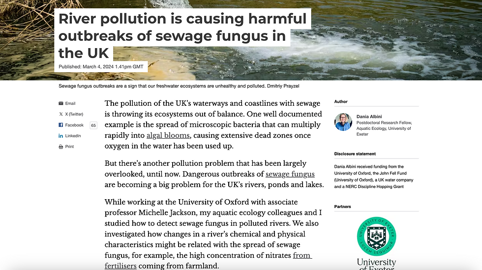The Conversation article: River pollution is causing harmful outbreaks of sewage fungus in the UK