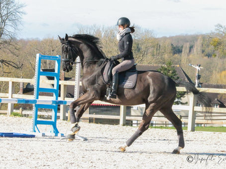 Améliorer le galop 