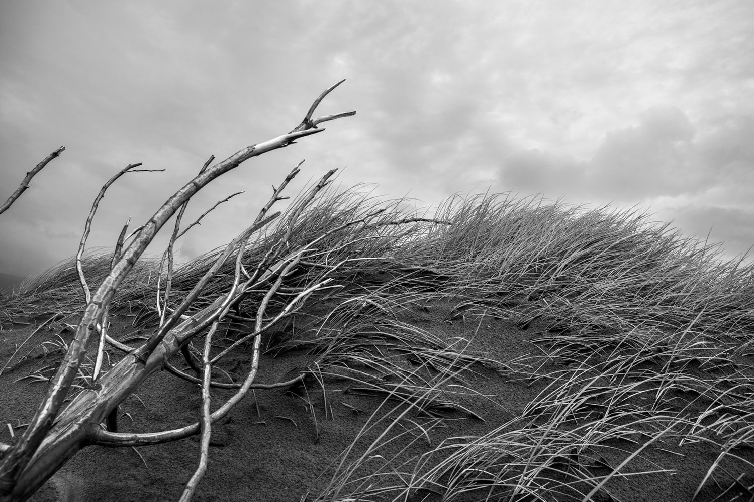Dunas de Cucao 4