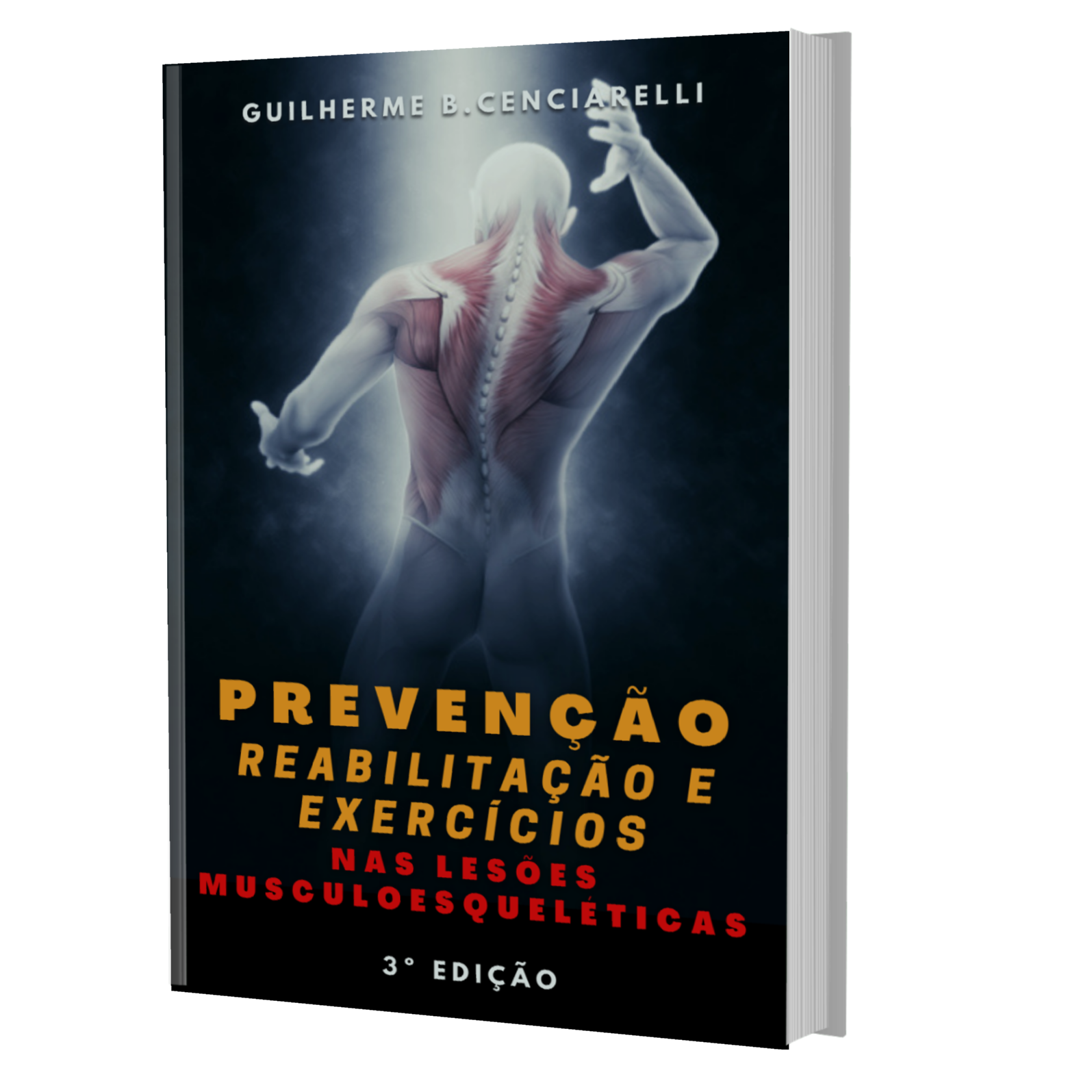 Prevenção, Reabilitação e Exercícios nas Lesões Musculoesqueléticas 3ºED