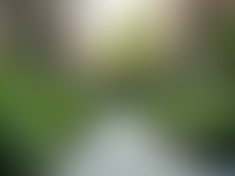 Delving into Niche Web Series Insights