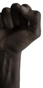 protestFistSm (2)_edited.png