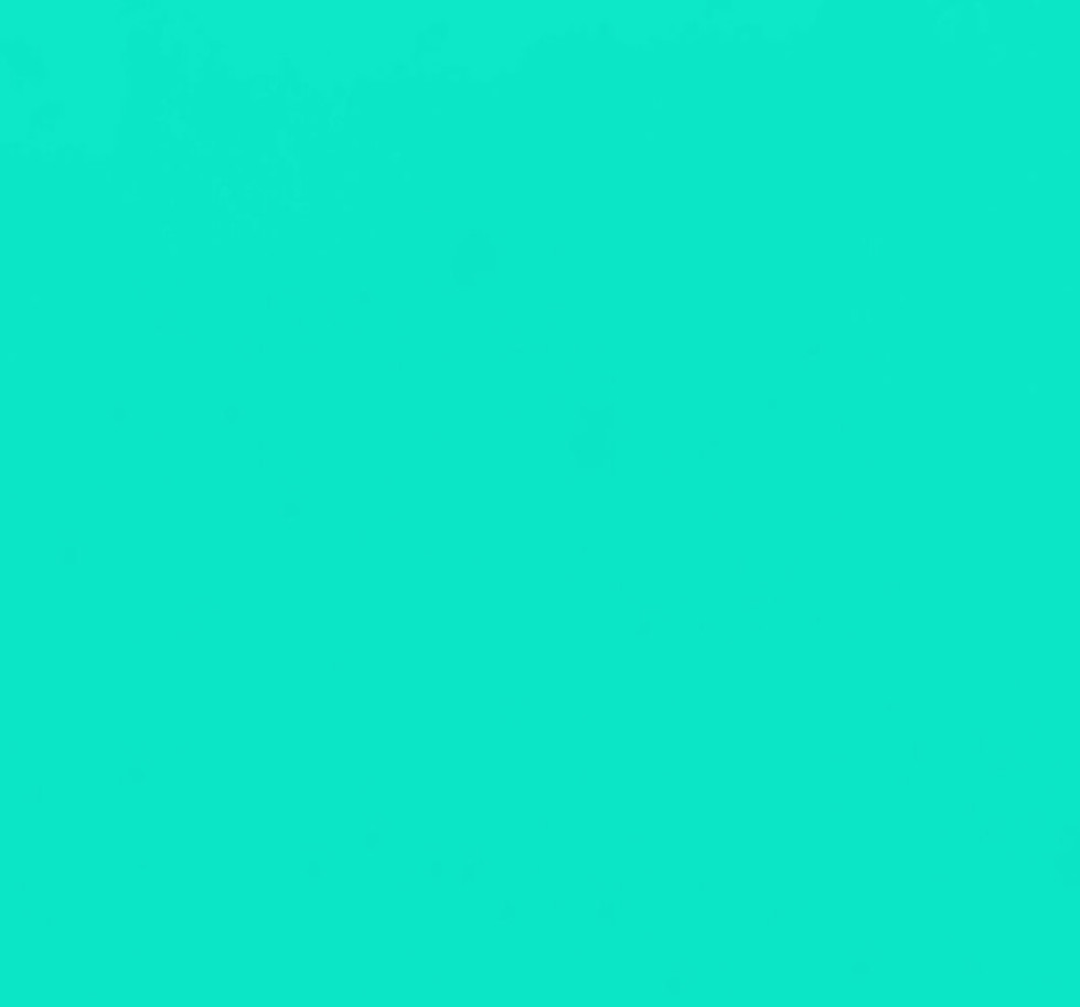 Dezinfectare si degresare cu abur Curatenie ecologica cu abur fierbinte, ideala pentru zonele care necesita igienizare in pro