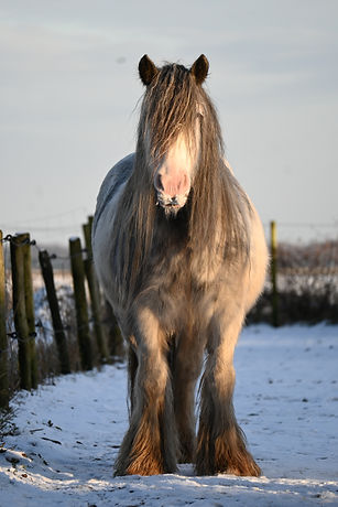 DSC_0308.JPG