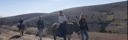 Randonnée âne en Cévennes