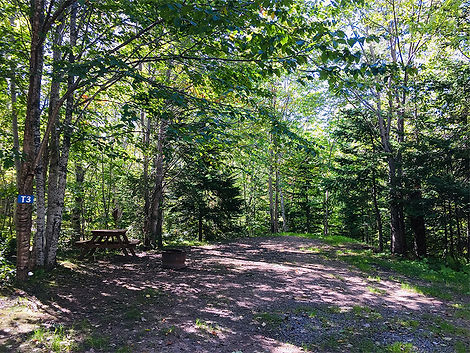 Tent-Site-T3.jpg