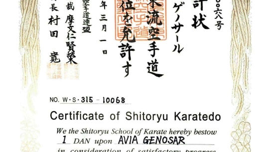 אביה גינוסר