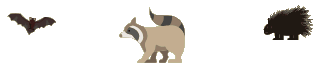 HHWR Top Images.GIF