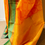 Thumbnail: Saree