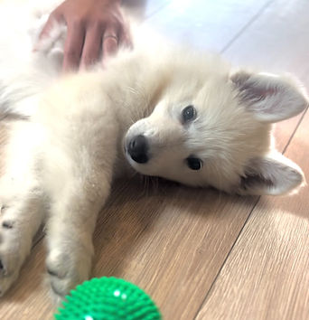 image0 (1)_edited_edited.jpg