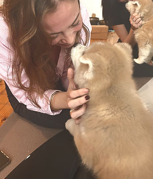 Puppy Yoga Bordeaux (33) | Notre Histoire 3