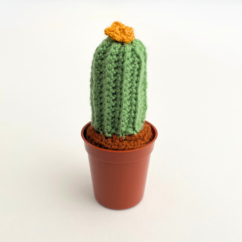 Thumbnail: Cactus Plants - Digital Crochet Pattern