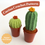 Thumbnail: Cactus Plants - Digital Crochet Pattern