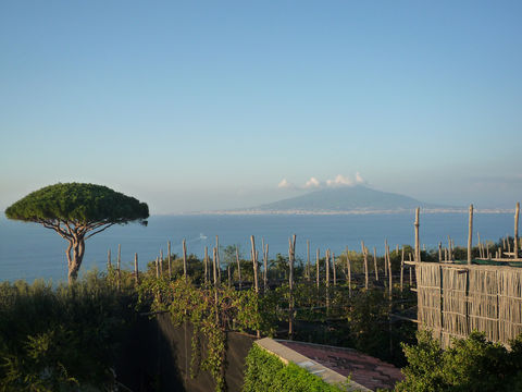 vesevius-view-from-the-terrace.jpeg