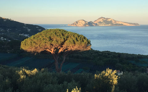 529_agriturismo-vigliano-veduta-capri.jpeg