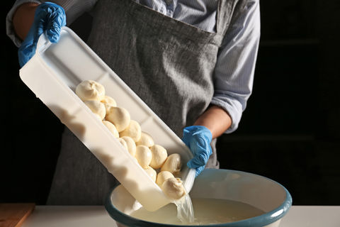 AdobeStock_259735549.jpeg