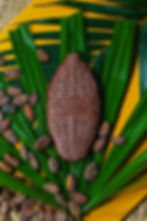 Thumbnail: Kokoa Kamili bar: 70%