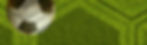 grasslines2_edited.jpg