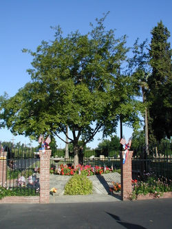 americanlegionlemoorememorialdaylemoore2011 002 (600x800)