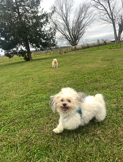 WhatsApp Image 2026-03-21 at 3.58.25 PM.jpeg