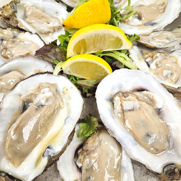 Platter of large, raw oysters on the half-shell
