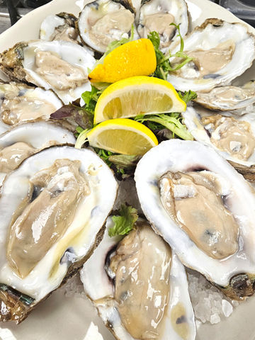 Platter of large, raw oysters on the half-shell
