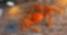 PSX_20260623_134411.jpg