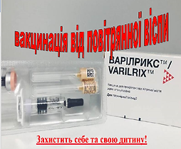 3.bmp