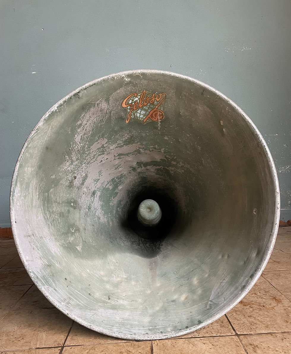 Miniatura: Megafono Industriale Geloso