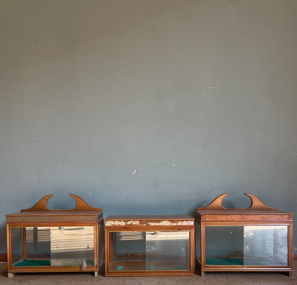 Set di Vetrine Espositive in legno e vetro