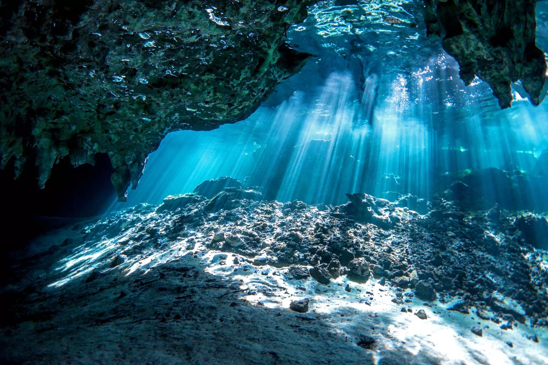 Gran Cenote diving