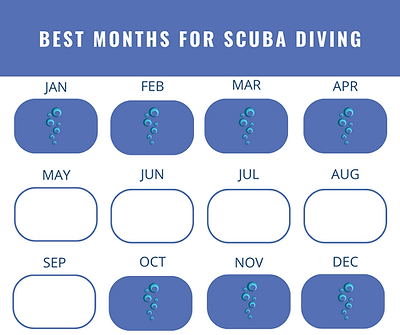 Best months for diving Raja ampat