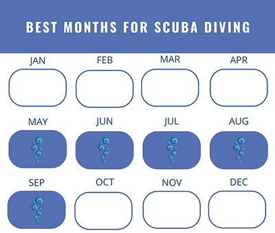 Best months for diving Taiwan and south Korea