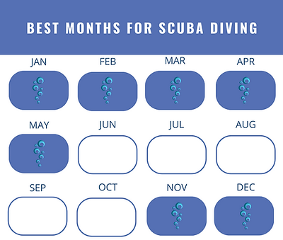 Mexico best months for scuba diving