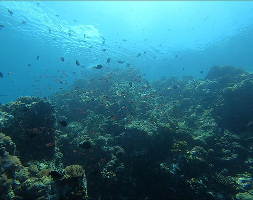 1-2 weeks: "Close to Home"