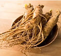 Panax Ginzeng root extract koreai azsiai kozmetikai osszetevo.jpg