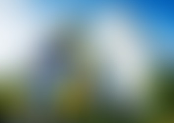 euro coin icon, Instant Payments