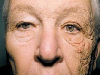 5 Tips Road Warriors Can Learn From the Healthy Handbook for Truckers