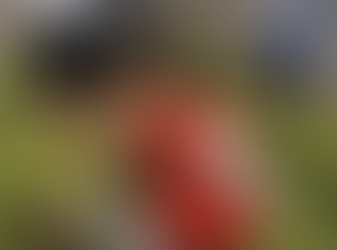 6 Elements of Youth Sport Safety