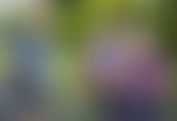 A Backpack Guide for Parents