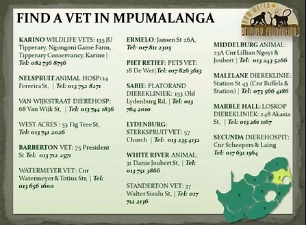 Mpumalanga.jpg