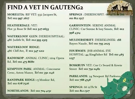 Gauteng 2.jpg